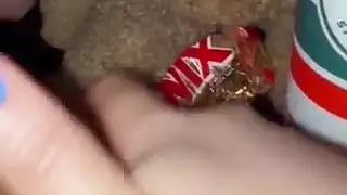 ولادة اباحي