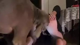 كلب رجلين احك