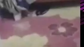 مضاجعة أخت تركية ساخنة في كل أفضل الأوضاع